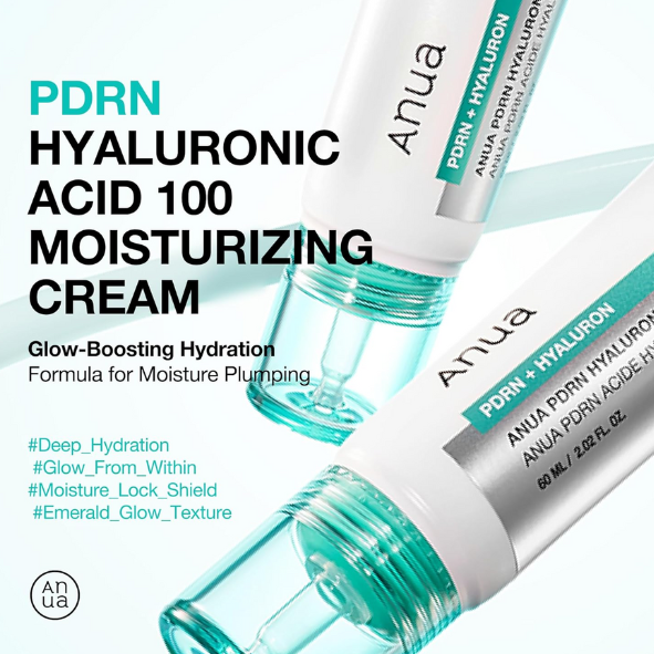Anua - PDRN Hyaluronic Acid 100 Moisturizing Cream 60ml