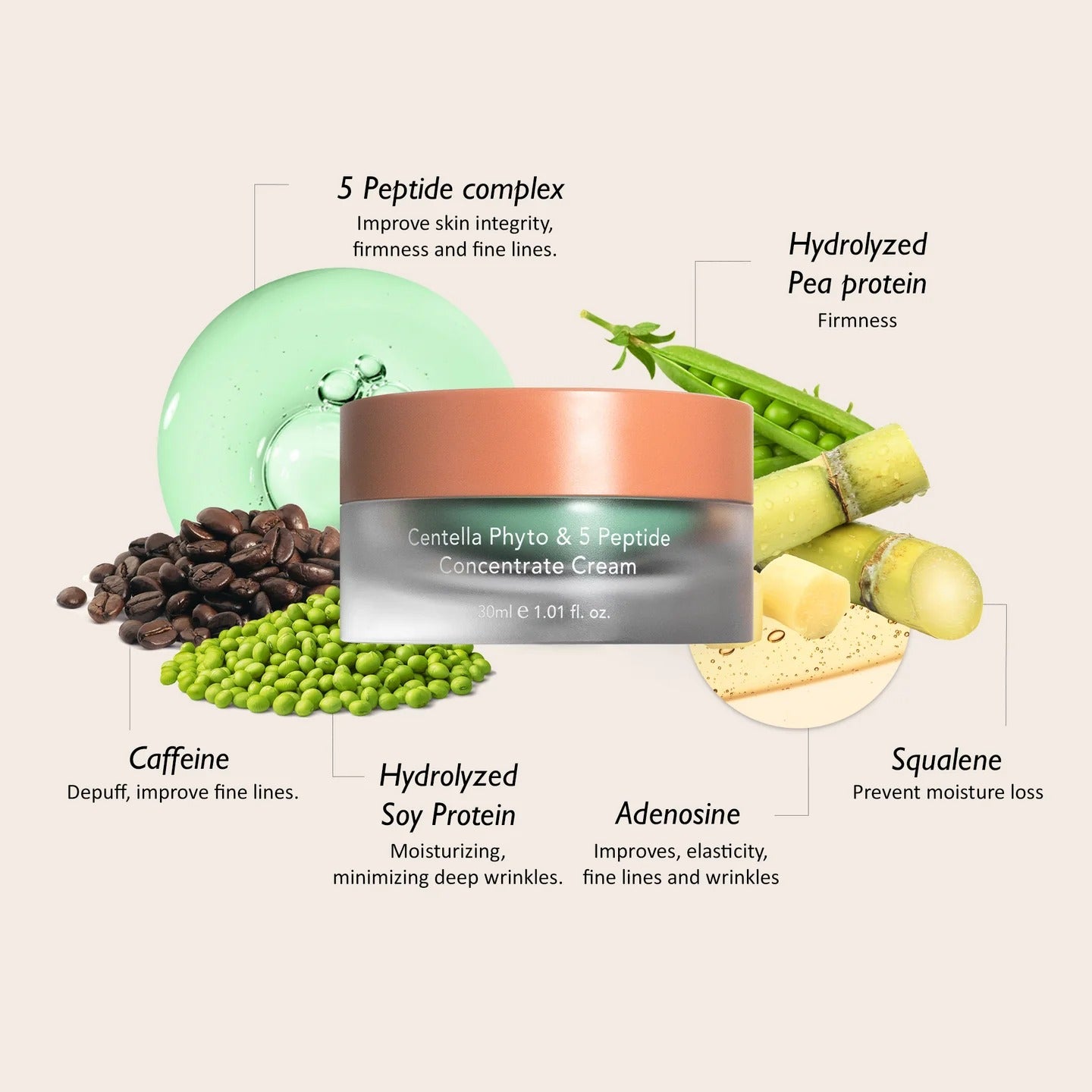 HaruHaru Wonder - Centella Phyto & 5 Peptide Concentrate Cream 30ml