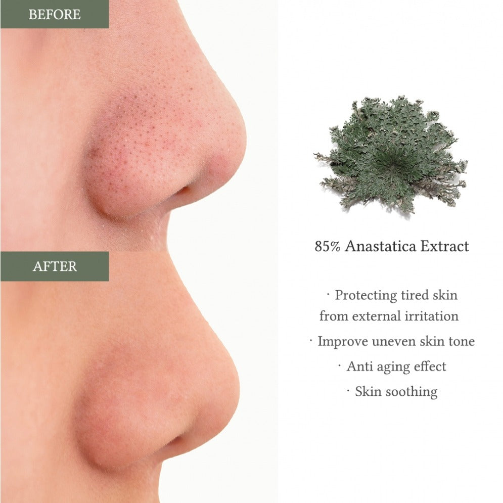 Dr. Althea - Anastatica Skin Conditioning Pad