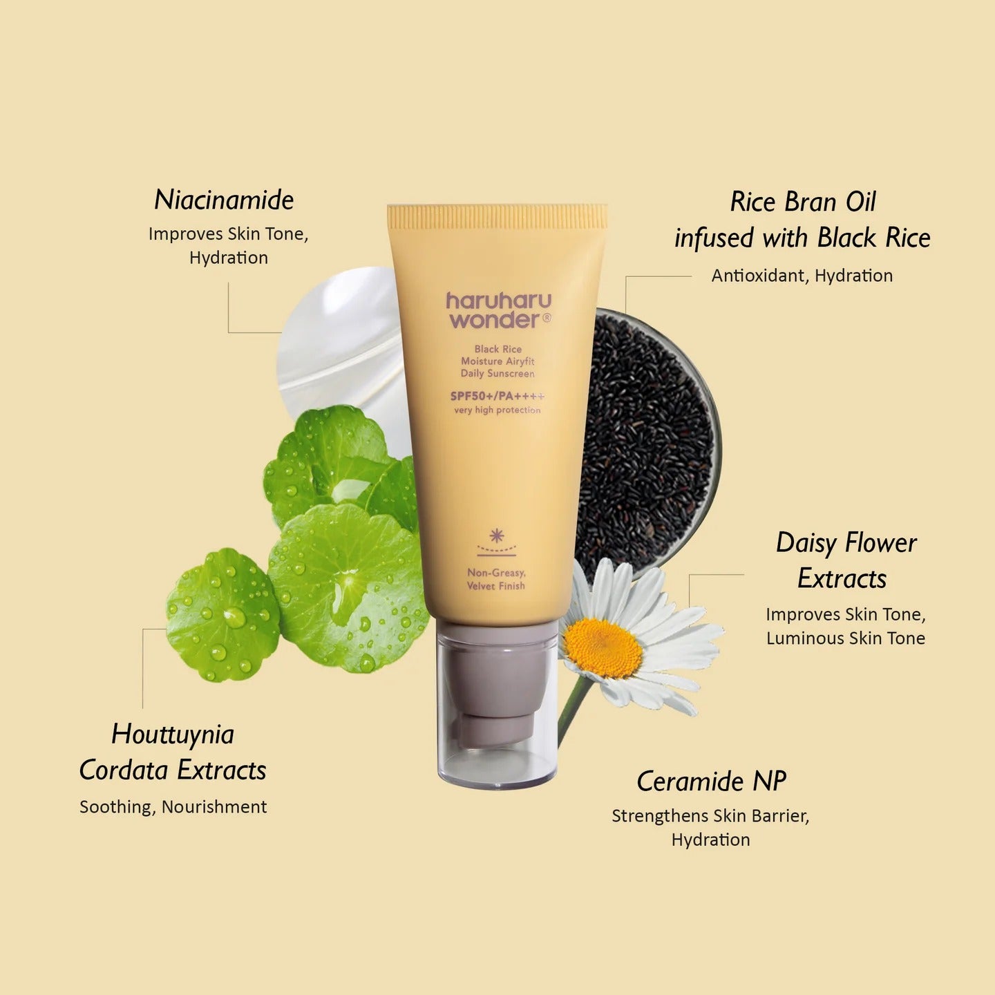 HaruHaru Wonder - Black Rice Moisture Airyfit Daily Sunscreen 50ml