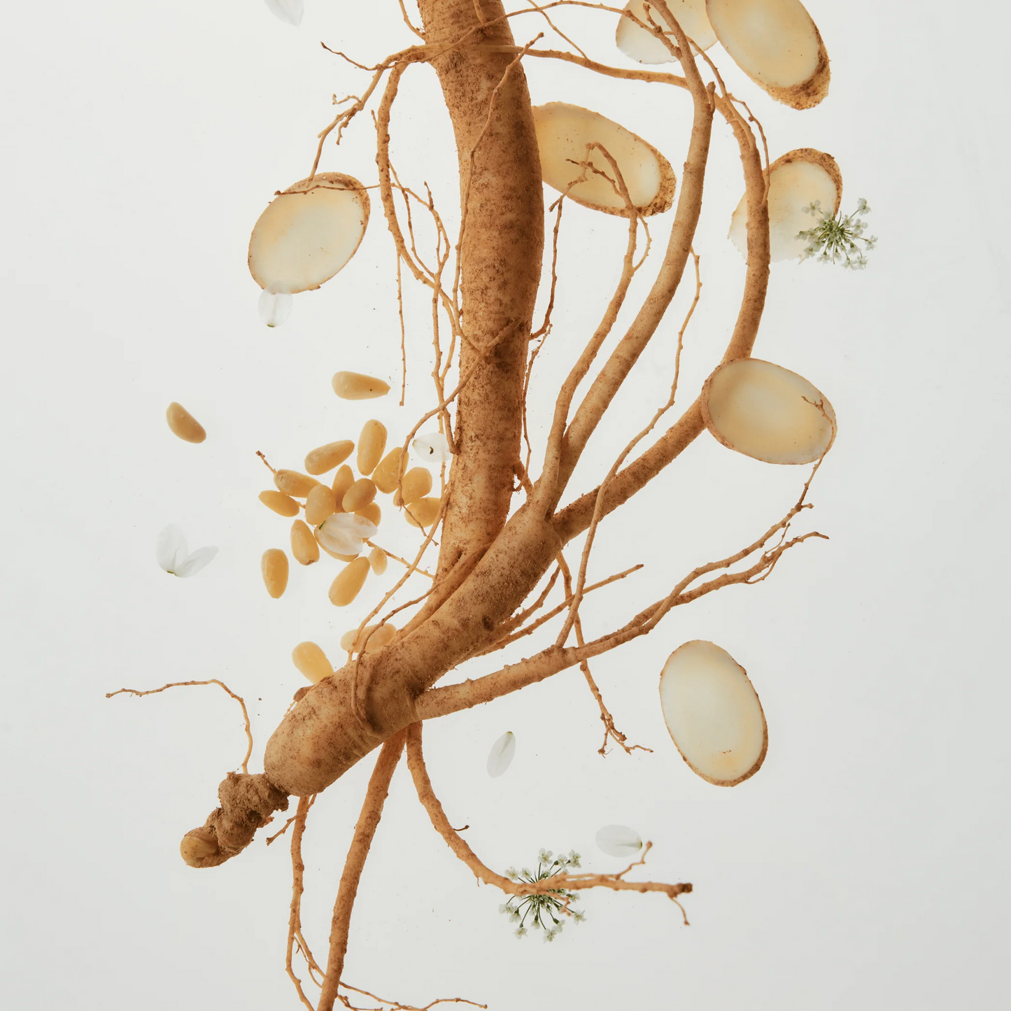 BEAUTY OF JOSEON - REVIVE SERUM : Ginseng + Snail Mucan 60ml