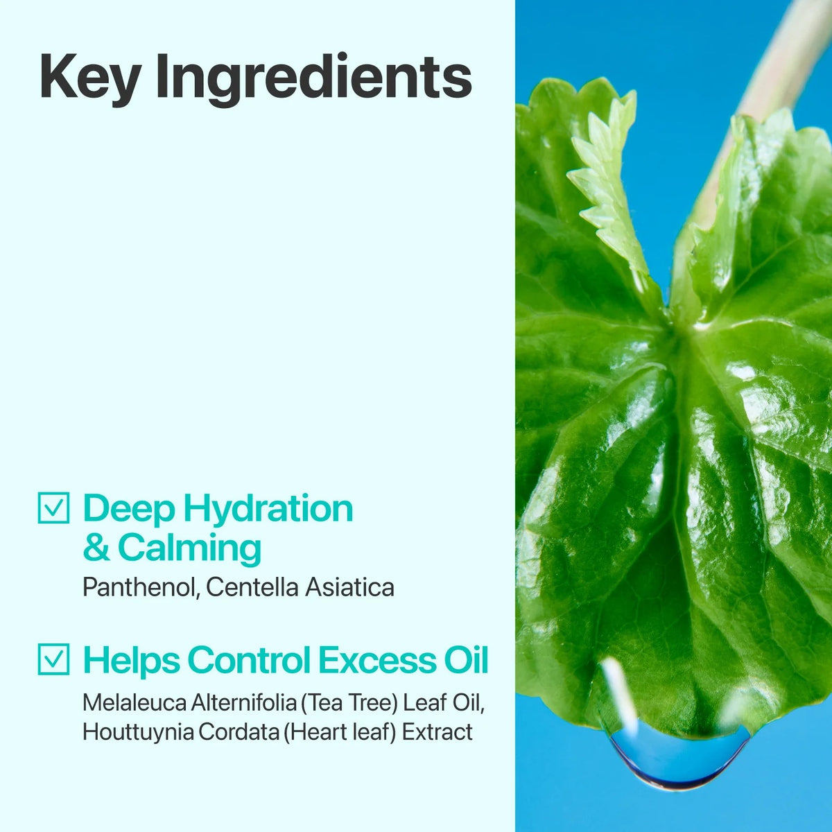 numbuzin - No.1 Centella Re-leaf Green Toner Pad 190ml (70 pads)